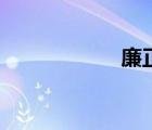 廉正行動組（廉正）