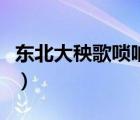 東北大秧歌嗩吶視頻（東北大秧歌嗩吶曲大全）