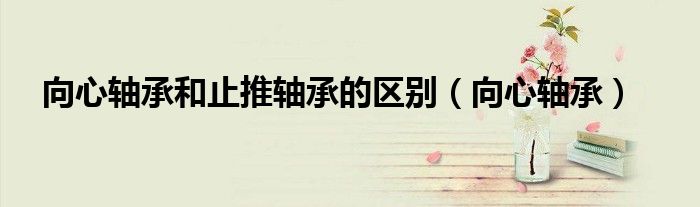 向心軸承和止推軸承的區(qū)別（向心軸承）