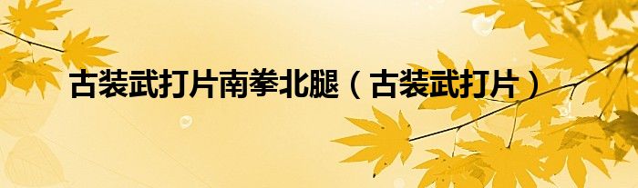 古裝武打片南拳北腿（古裝武打片）