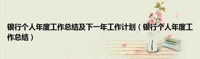 銀行個(gè)人年度工作總結(jié)及下一年工作計(jì)劃（銀行個(gè)人年度工作總結(jié)）