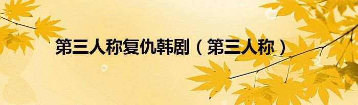 第三人稱復(fù)仇韓?。ǖ谌朔Q）