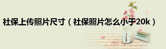 社保上傳照片尺寸（社保照片怎么小于20k）