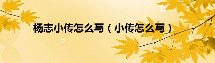 楊志小傳怎么寫（小傳怎么寫）