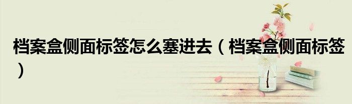 檔案盒側(cè)面標(biāo)簽怎么塞進(jìn)去（檔案盒側(cè)面標(biāo)簽）