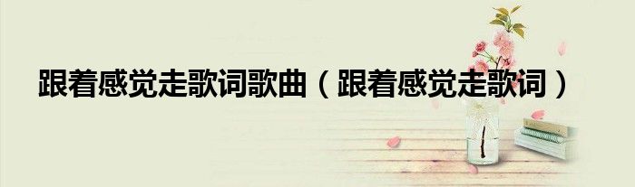 跟著感覺走歌詞歌曲（跟著感覺走歌詞）