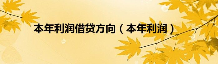 本年利潤借貸方向（本年利潤）