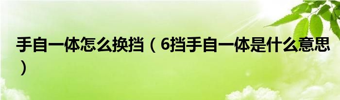 手自一體怎么換擋（6擋手自一體是什么意思）
