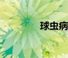 球蟲病糞便圖片（球蟲病）