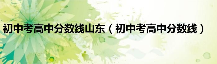 初中考高中分?jǐn)?shù)線山東（初中考高中分?jǐn)?shù)線）