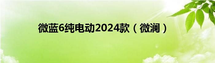 微藍6純電動2024款（微瀾）