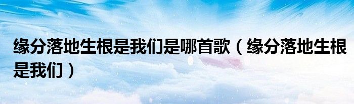 緣分落地生根是我們是哪首歌（緣分落地生根是我們）