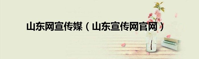 山東網(wǎng)宣傳媒（山東宣傳網(wǎng)官網(wǎng)）
