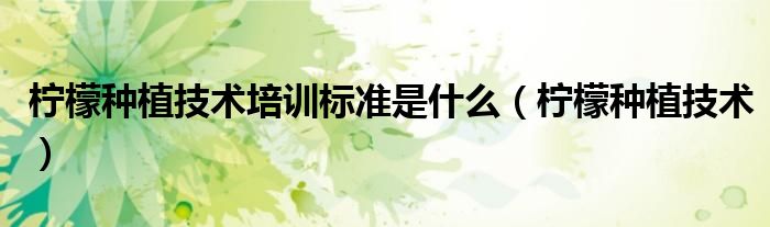 檸檬種植技術(shù)培訓標準是什么（檸檬種植技術(shù)）