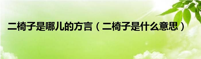 二椅子是哪兒的方言（二椅子是什么意思）
