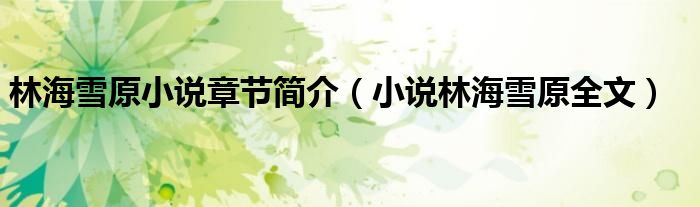 林海雪原小說章節(jié)簡(jiǎn)介（小說林海雪原全文）