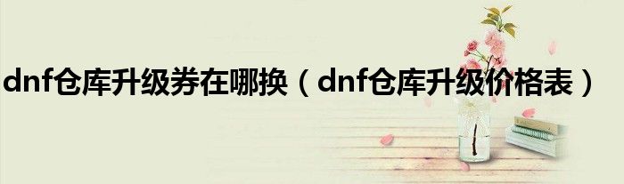 dnf倉庫升級券在哪換（dnf倉庫升級價格表）