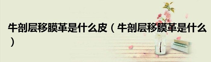 牛剖層移膜革是什么皮（牛剖層移膜革是什么）