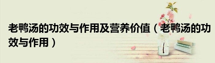 老鴨湯的功效與作用及營養(yǎng)價值（老鴨湯的功效與作用）