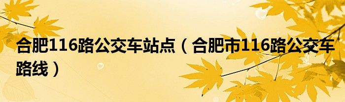 合肥116路公交車站點(diǎn)（合肥市116路公交車路線）