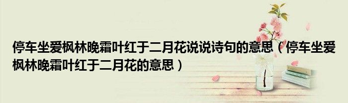 停車坐愛楓林晚霜葉紅于二月花說說詩句的意思（停車坐愛楓林晚霜葉紅于二月花的意思）