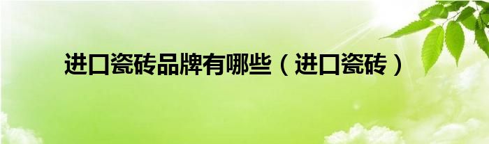 進(jìn)口瓷磚品牌有哪些（進(jìn)口瓷磚）
