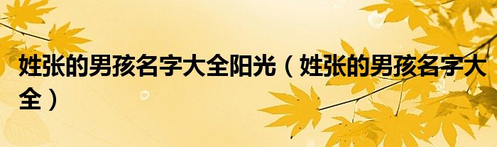 姓張的男孩名字大全陽光（姓張的男孩名字大全）