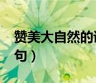 贊美大自然的詩(shī)句有哪些?（贊美大自然的詩(shī)句）