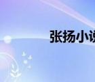 張揚(yáng)小說(shuō)大結(jié)局（張揚(yáng)小說(shuō)）