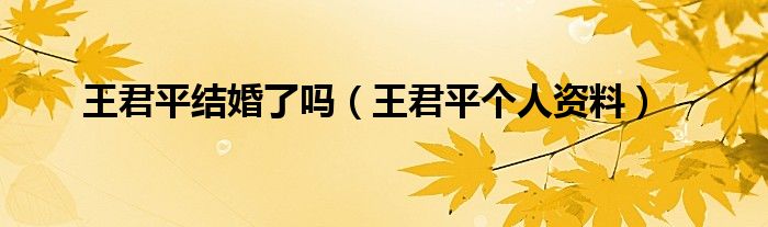 王君平結婚了嗎（王君平個人資料）