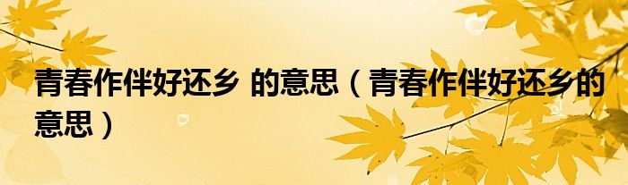 青春作伴好還鄉(xiāng) 的意思（青春作伴好還鄉(xiāng)的意思）