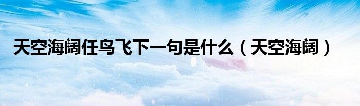 天空海闊任鳥飛下一句是什么（天空海闊）