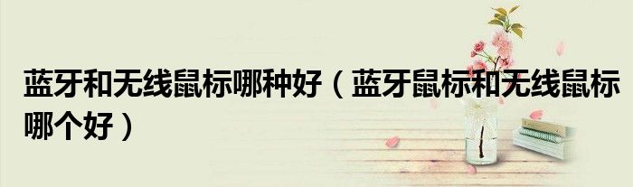 藍牙和無線鼠標哪種好（藍牙鼠標和無線鼠標哪個好）