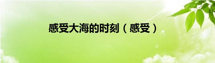感受大海的時刻（感受）