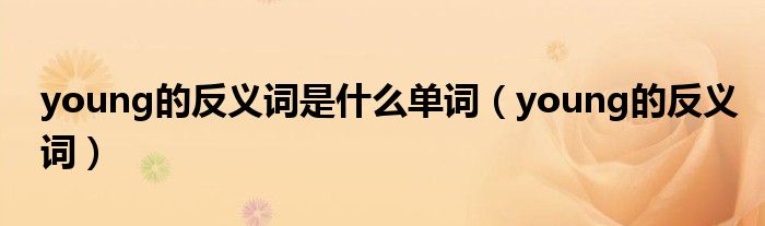 young的反義詞是什么單詞（young的反義詞）