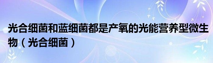 光合細(xì)菌和藍(lán)細(xì)菌都是產(chǎn)氧的光能營養(yǎng)型微生物（光合細(xì)菌）