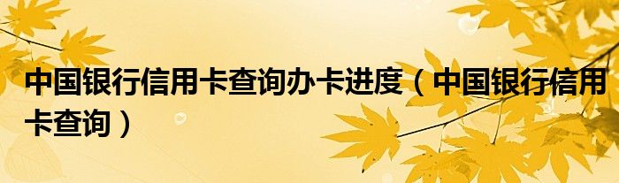 中國銀行信用卡查詢辦卡進度（中國銀行信用卡查詢）