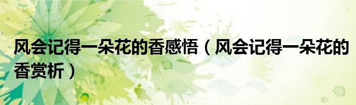 風會記得一朵花的香感悟（風會記得一朵花的香賞析）