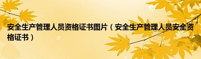 安全生產(chǎn)管理人員資格證書圖片（安全生產(chǎn)管理人員安全資格證書）