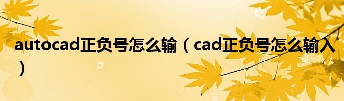 autocad正負(fù)號(hào)怎么輸（cad正負(fù)號(hào)怎么輸入）