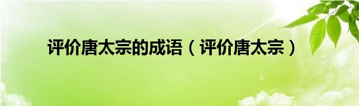 評價唐太宗的成語（評價唐太宗）