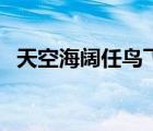 天空海闊任鳥(niǎo)飛下一句是什么（天空海闊）