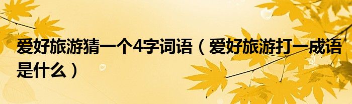 愛好旅游猜一個4字詞語（愛好旅游打一成語是什么）
