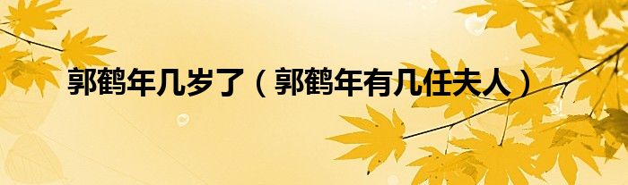 郭鶴年幾歲了（郭鶴年有幾任夫人）