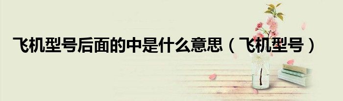 飛機(jī)型號(hào)后面的中是什么意思（飛機(jī)型號(hào)）