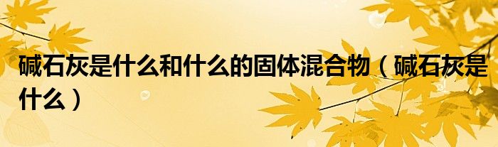 堿石灰是什么和什么的固體混合物（堿石灰是什么）