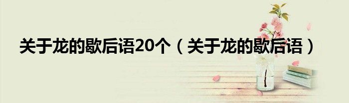 關于龍的歇后語20個（關于龍的歇后語）