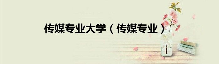 傳媒專業(yè)大學(xué)（傳媒專業(yè)）