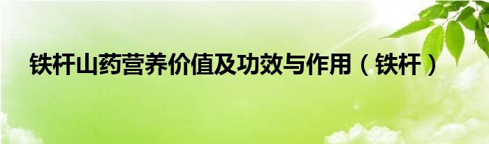 鐵桿山藥營養(yǎng)價值及功效與作用（鐵桿）
