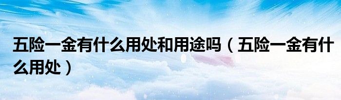 五險一金有什么用處和用途嗎（五險一金有什么用處）